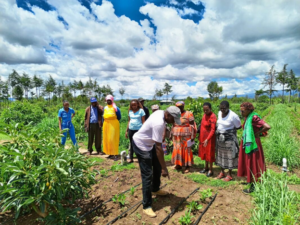Smart agriculture_Ted Apondi